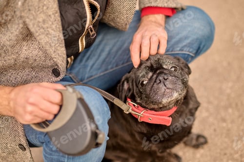 Preview: Man Spending Time Outdoors with His Dog