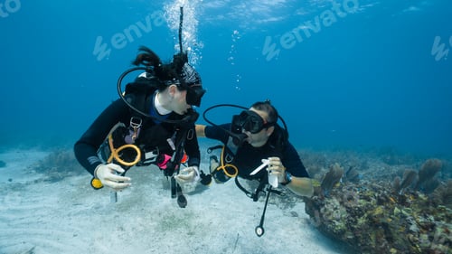 Preview: Man proposing marriage underwater to his fiancee