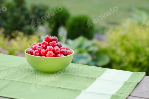 Preview: Juicy cherry on garden