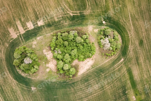 Preview: Top down aerial view of green field with canopies of trees in the middle.