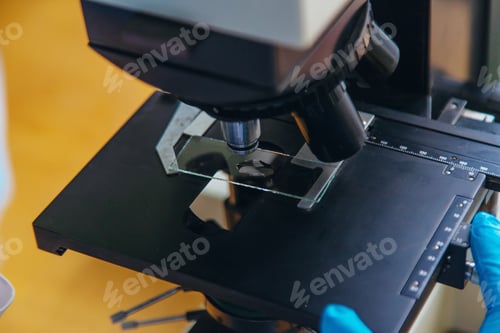 Preview: Examine in the laboratory under a microscope. Selective focus.