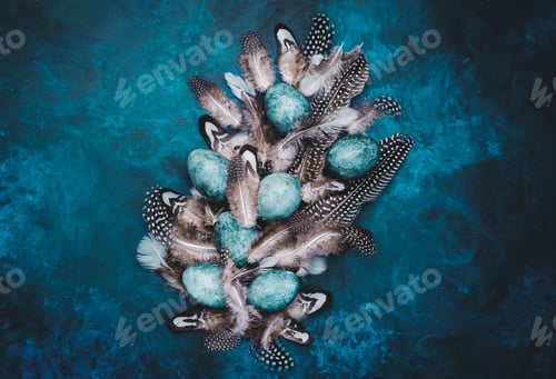 Preview: Easter blue eggs with colorful bird feathers on blue background, top view