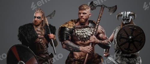 Preview: Ancient three fierce vikings with fur and weapons