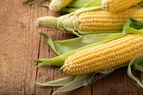 Preview: Fresh corn on cobs on rustic wooden table, closeup. with copy space