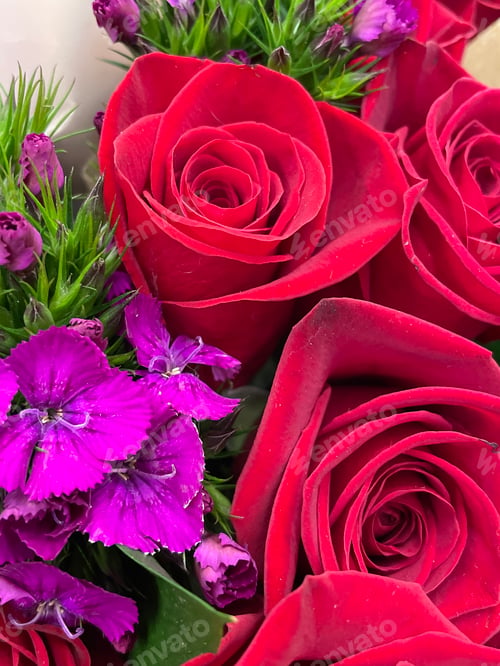 Preview: Roses