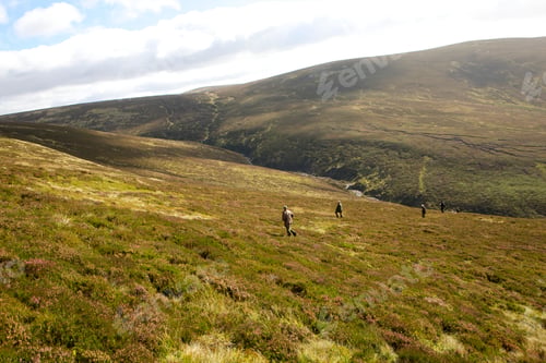 Preview: Hikers trekking through serene highland terrain