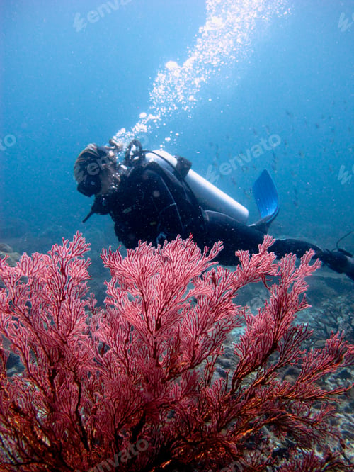 Preview: Vertical shot of a diver with an air tank