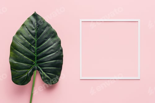 Preview: top view of green palm leaf and white frame on pink, minimalistic concept