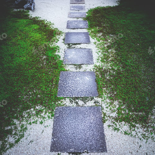Preview: High angle shot of a mossy path in a temple in Japan