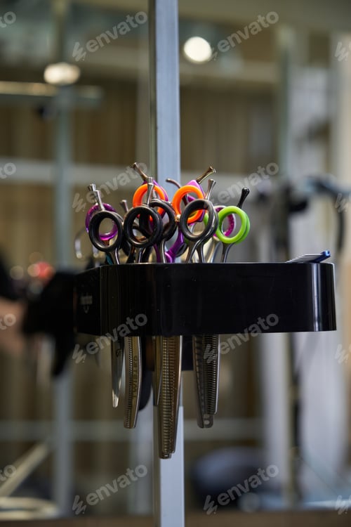 Preview: Colorful hair cutting scissors arranged neatly in a modern salon setting