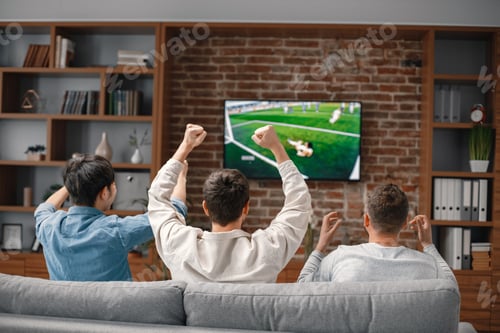 Preview: Back view of men watching a football game on tv and sitting on a sofa