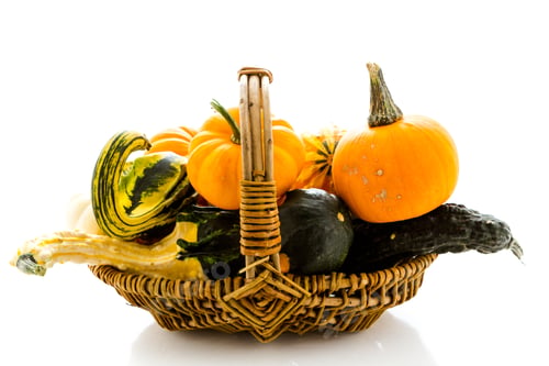 Preview: Mini pumpkins