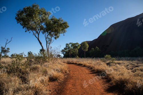 Preview: rock formation trees hike walk northern territory australia holiday explore