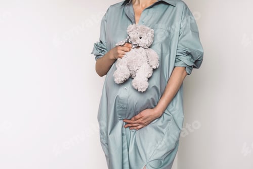 Preview: Woman expecting baby. Pregnant girl touching belly and teddy bear toy resting