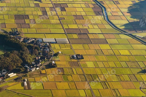 Preview: Paddy rice terraces, green agricultural fields in countryside of mountain hills valley, Vietnam.