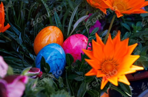 Preview: Closeup of colorful easter eggs on the grass