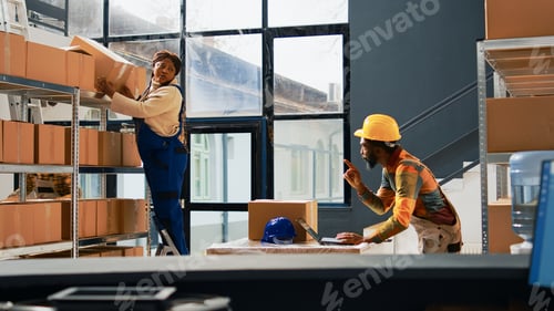 Preview: Warehouse employees checking products on shelves
