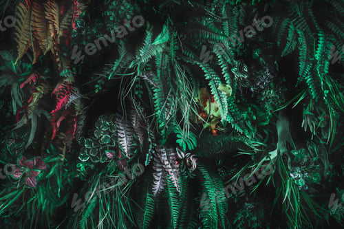 Preview: Herb wall, plant wall, natural green wallpaper and background.