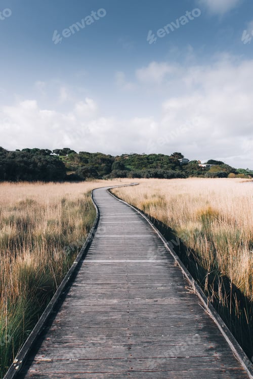 Preview: Vertical shot of the Princetown Wetland boardwalk under a blue cloudy sky in Australia
