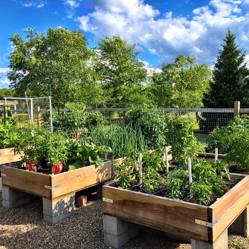 Preview: Community Garden