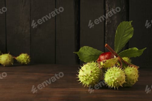 Preview: Fresh and ripe chestnuts, space for text
