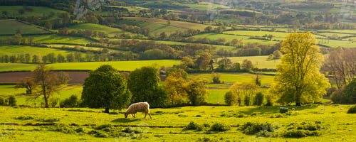 Preview: Autumn colours at sunset, Winchcombe and the Sudely Valley, The Cotswolds, Gloucestershire, England,