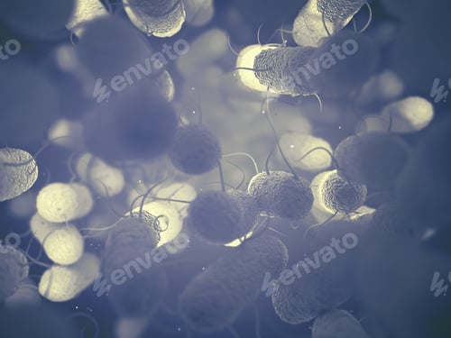 Preview: Enterobacteriaceae Bacteria Family
