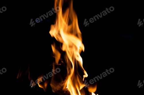 Preview: Color fire. The concept of nature.