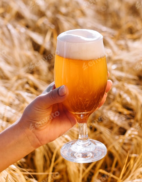 Preview: glass of beer in hand against the background of wheat field