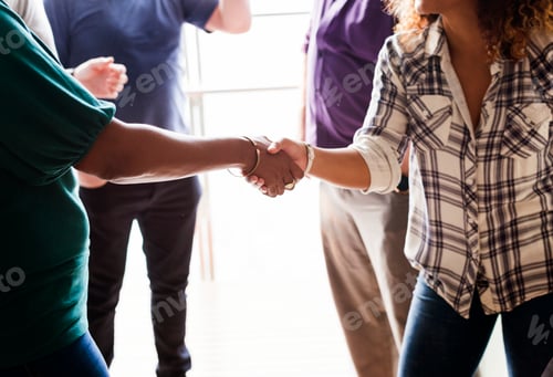 Preview: Diverse woman shaking hands