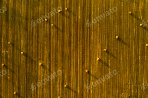 Preview: Straw bales on farmland with a blue cloudy sky.Harvested field with bales in Europe.Harvest.Belarus