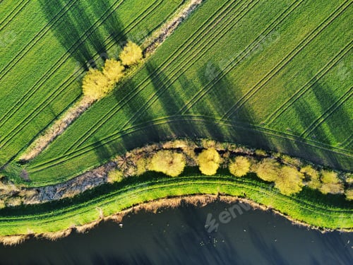 Preview: Spring in a green field
