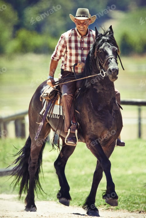 Preview: Yeeha. Portrait of a smiling cowboy on his horse.