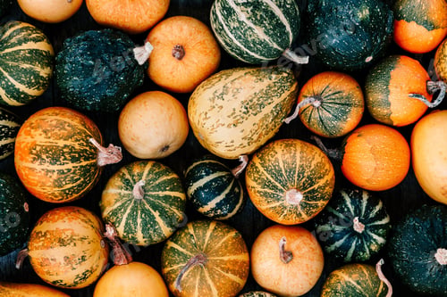 Preview: Pumpkin background for thanksgiving and halloween.
