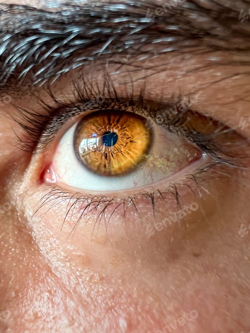Preview: Glowing brown male eye with black eyebrow