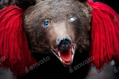 Preview: New Year Bear Dancing Festival, Comanesti, Moldova, Romania