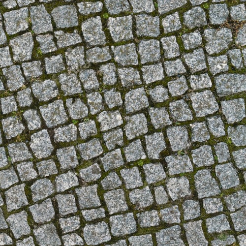 Preview: Green moss growing through pavement