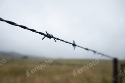 Preview: barbed wire against a blue sky
