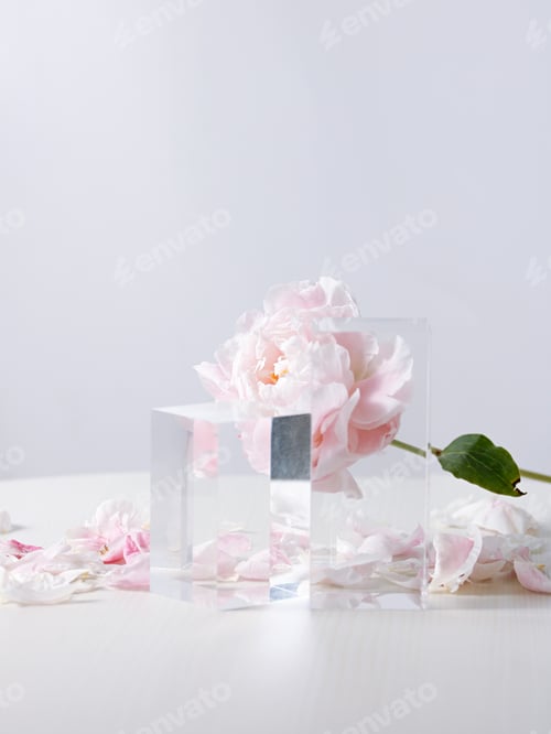 Preview: Vertical shot of beautiful pink peony flowers in a glass vase on a white background