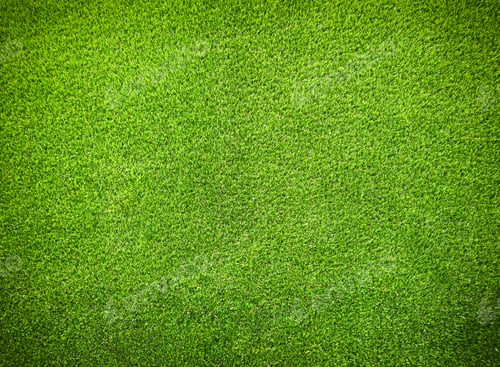 Preview: Top view of green grass texture background, green lawn
