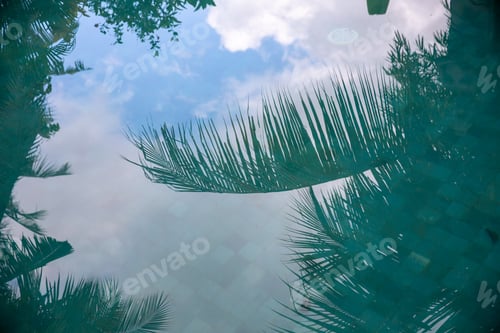 Preview: Reflection of palm trees branches in turquoise color swimming pool.