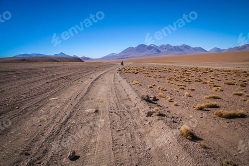 Preview: Corrugated road in Altiplano