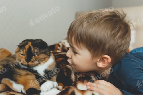 Preview: Young Child Bonding with Calico Cat Indoors