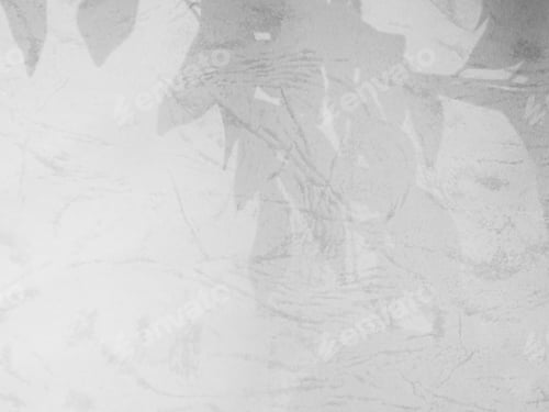 Preview: Shadow Leaf Tree Tropic Summer Leaves Background Plant Overlay