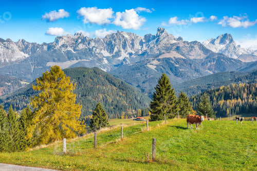 Preview: Fabulous view of Alpine green fields and mountains near St. Martin am Tennengebirge.