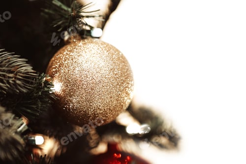 Preview: Fir branch with balls