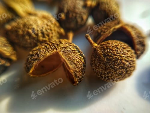 Preview: Macro Shot of Spice