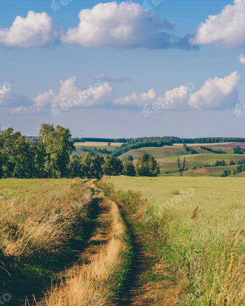 Preview: Country Road in Field.