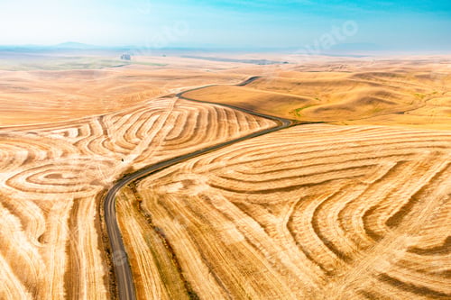 Preview: Beautiful view of a wheat field with a rolling hill pattern