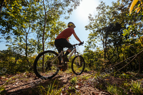 Preview: Mountain biking in spring forest